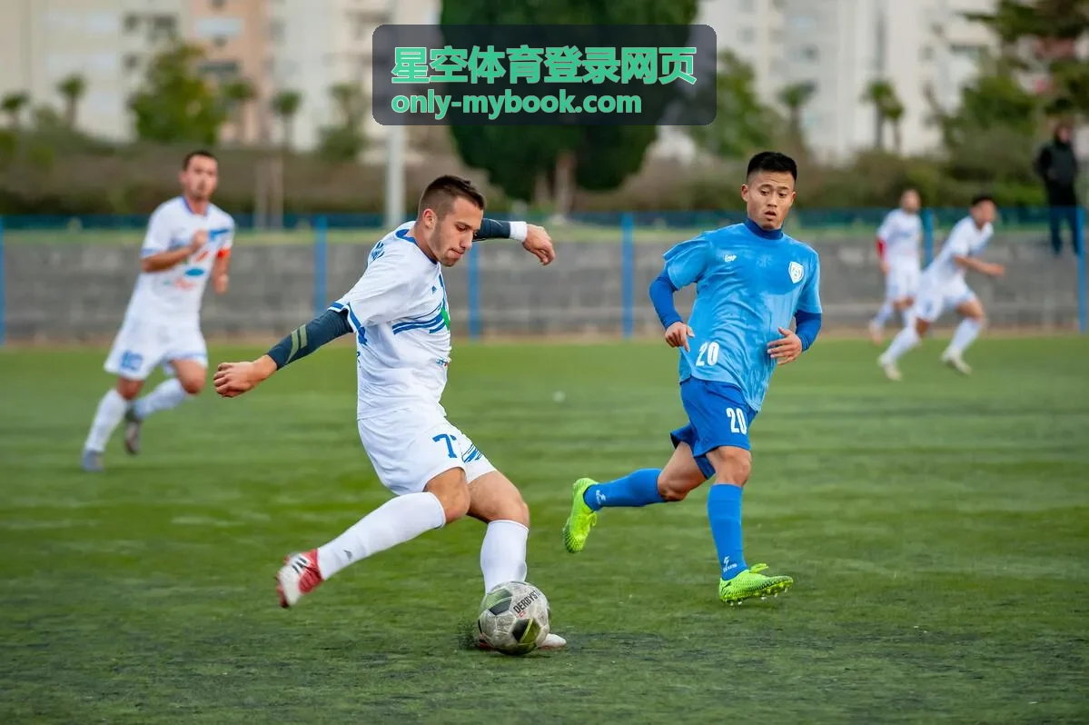 星空体育登录网页移动端适配板块示意图